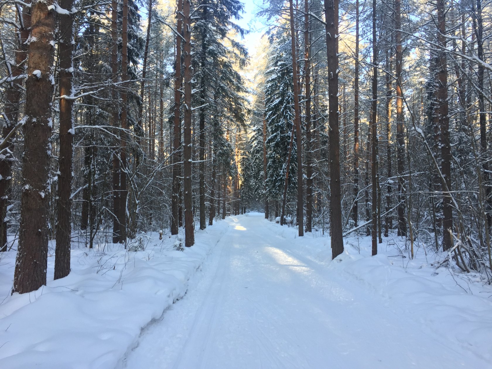 Осиновая гора - лыжная база в городе Шуя Ивановской области расписание,  график работы